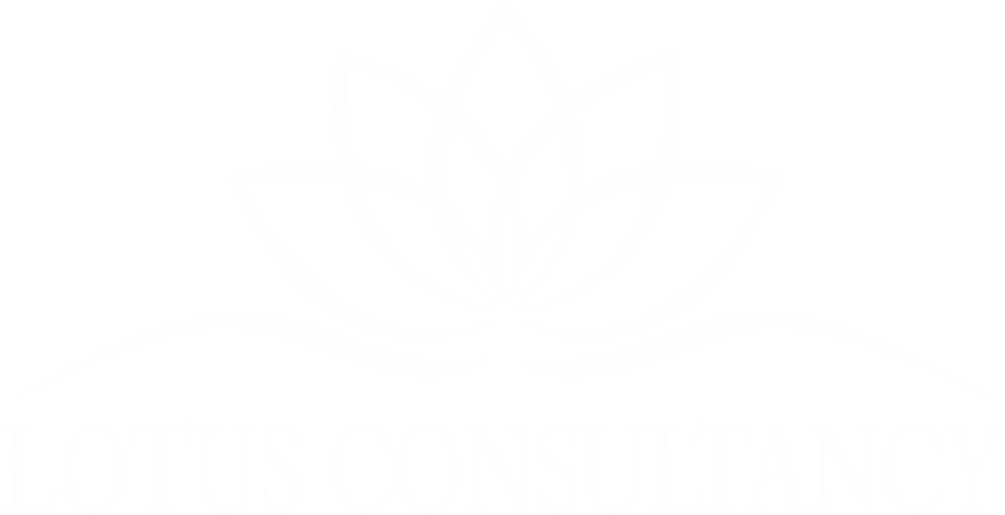 Lotus Danışmanlık